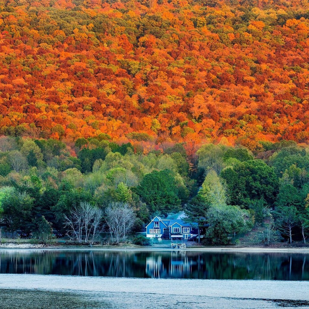 Обои лес, осень, дом, alabama in autumn, forest, autumn, house разрешение 2048x1365 Загрузить