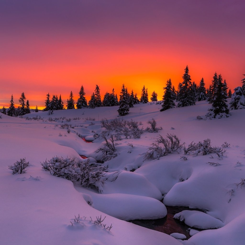 Обои деревья, сугробы, вечер, снег, природа, лес, закат, зима, ручей, trees, the snow, the evening, snow, nature, forest, sunset, winter, stream разрешение 2048x1410 Загрузить