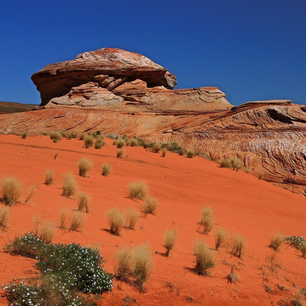 Обои скалы, песок, пустыня, сша, аризона, northern arizona, red rock, rocks, sand, desert, usa, az разрешение 2048x1250 Загрузить