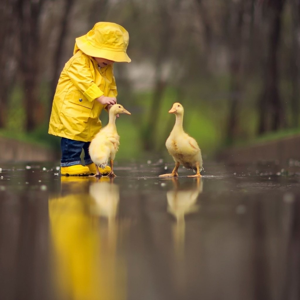 Обои природа, девочка, дождь, ребенок, дружба, маленькая, гуси, nature, girl, rain, child, friendship, little, geese разрешение 1920x1080 Загрузить