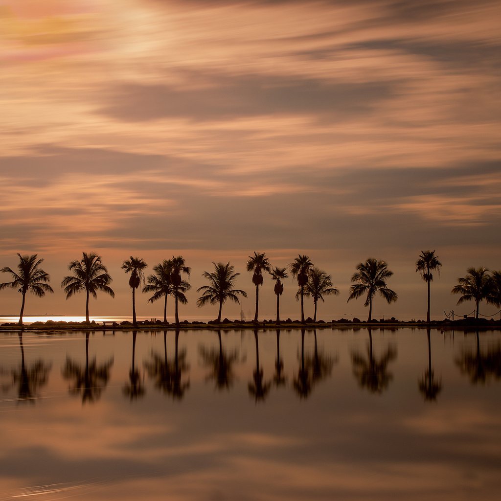 Обои вечер, закат, отражение, пальмы, океан, гладь, флорида, майами, the evening, sunset, reflection, palm trees, the ocean, surface, fl, miami разрешение 2560x1594 Загрузить