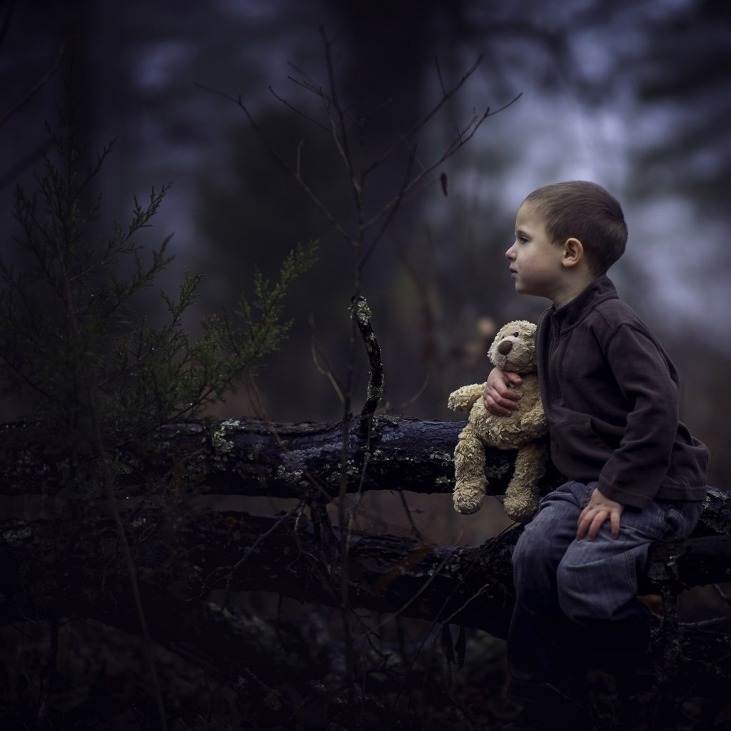 Обои лес, дети, мишка, игрушка, профиль, лицо, мальчик, forest, children, bear, toy, profile, face, boy разрешение 2048x1365 Загрузить