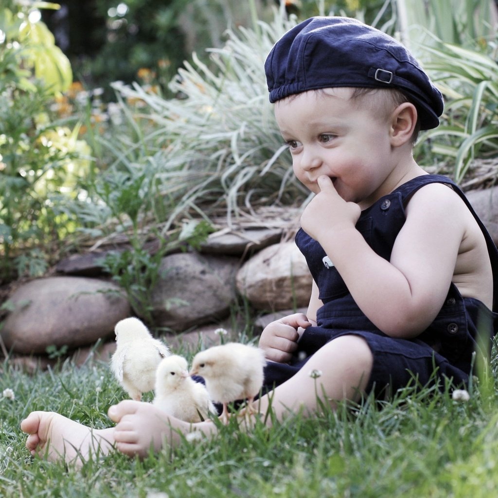 Обои трава, природа, камни, ребенок, мальчик, кепка, птенцы, цыплята, grass, nature, stones, child, boy, cap, chicks, chickens разрешение 2048x1365 Загрузить