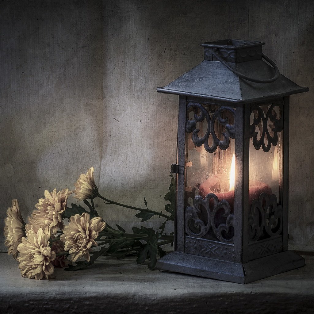 Обои цветы, стиль, фонарь, свеча, хризантемы, flowers, style, lantern, candle, chrysanthemum разрешение 3600x2384 Загрузить