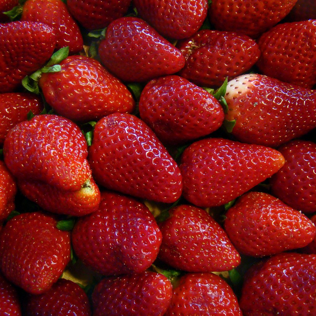 Обои красная, клубника, спелая, ягоды, red, strawberry, ripe, berries разрешение 2700x2025 Загрузить