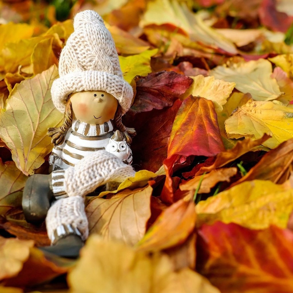 Обои природа, осень, игрушка, кукла, шапочка, фигурка, осенние листья, nature, autumn, toy, doll, cap, figure, autumn leaves разрешение 1920x1280 Загрузить