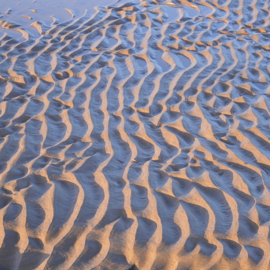 Обои текстура, песок, пляж, texture, sand, beach разрешение 6016x4000 Загрузить