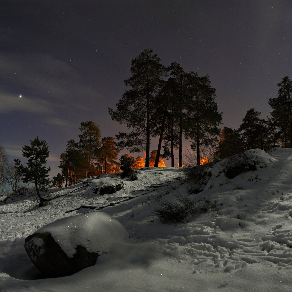 Обои небо, холм, свет,     деревья, облака, ночь, снег, природа, зима, сосны, the sky, hill, light, trees, clouds, night, snow, nature, winter, pine разрешение 1920x1200 Загрузить