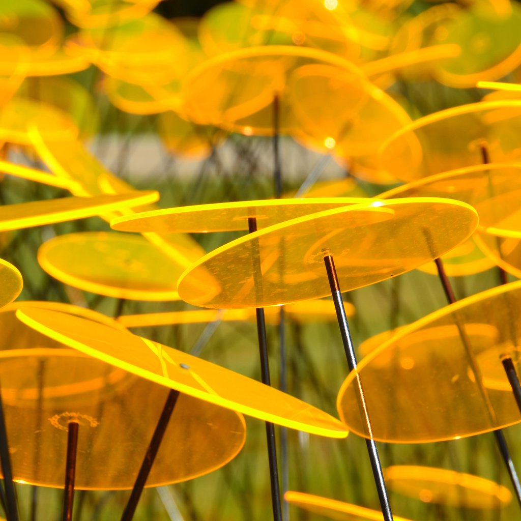 Обои желтый, сад, пластины, круг, диск, скульптура, yellow, garden, plate, round, disk, sculpture разрешение 3840x2400 Загрузить