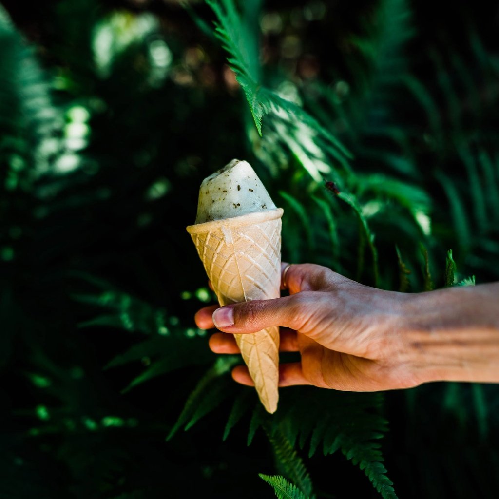 Обои природа, рука, листья, мороженое, растение, вафельный рожок, nature, hand, leaves, ice cream, plant, waffle cone разрешение 2997x2000 Загрузить