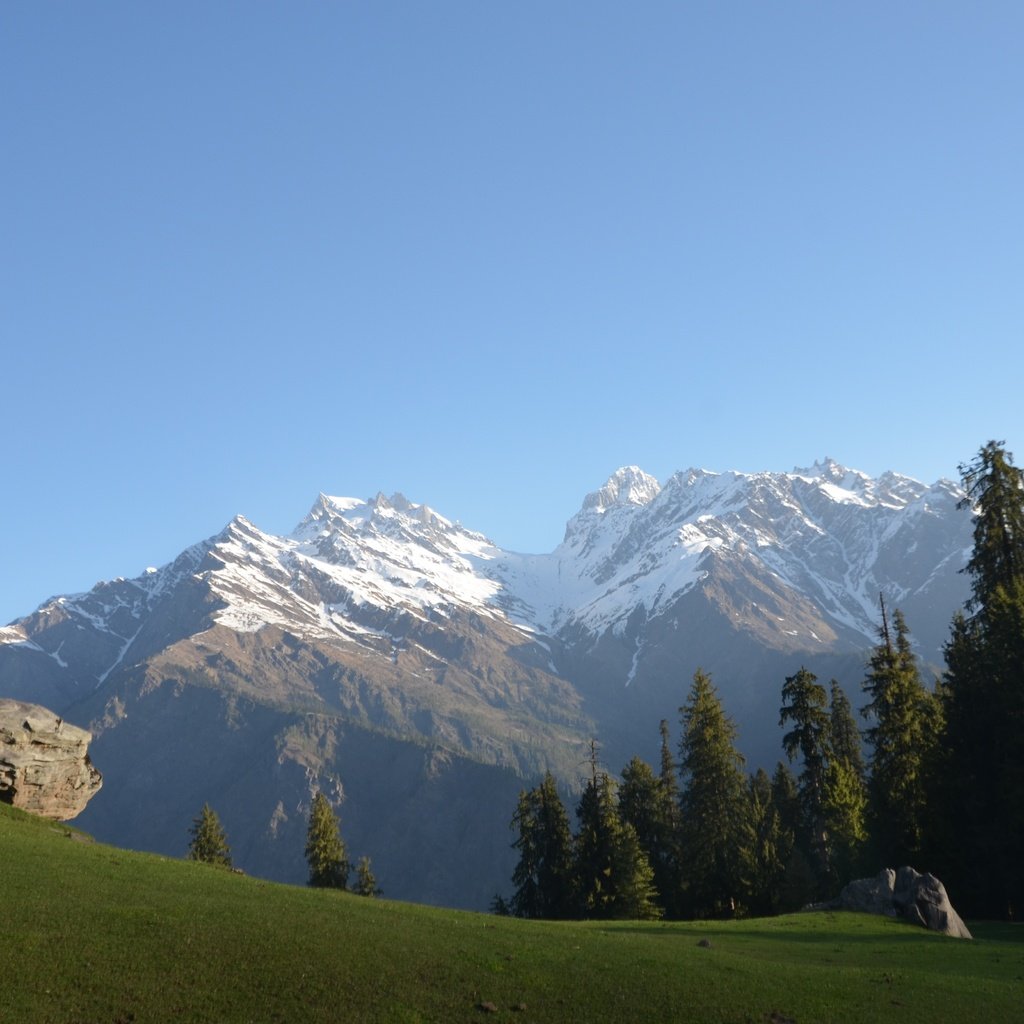 Обои небо, трава, деревья, горы, снег, природа, лес, индия, the sky, grass, trees, mountains, snow, nature, forest, india разрешение 4928x3264 Загрузить