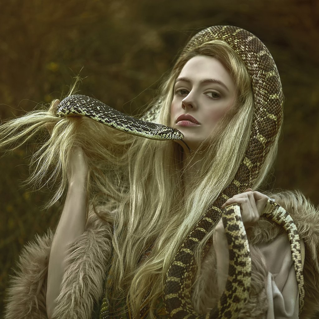 Обои девушка, фэнтези, змея, волосы, персонаж, фотосессия, agnieszka lorek, girl, fantasy, snake, hair, character, photoshoot разрешение 2048x1618 Загрузить