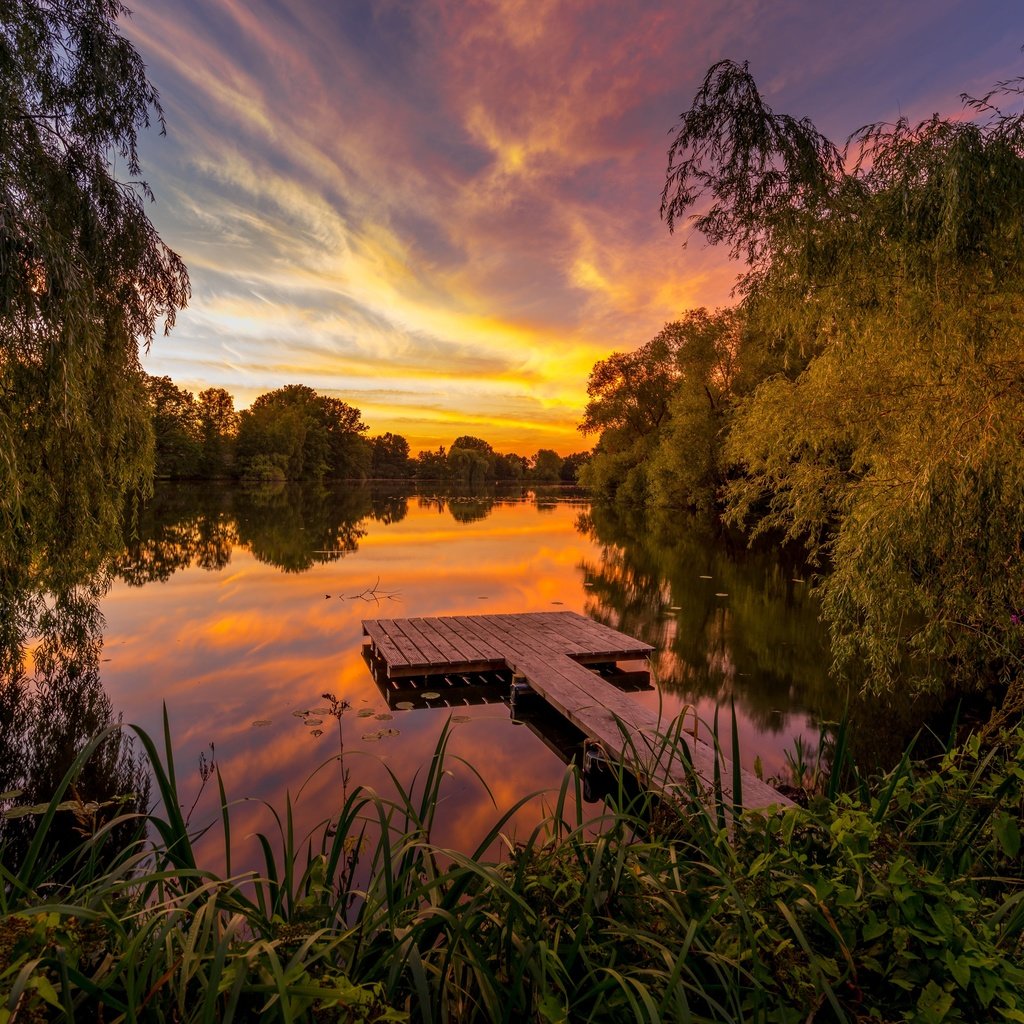 Обои деревья, озеро, закат, германия, мостки, trees, lake, sunset, germany, bridges разрешение 5038x3180 Загрузить