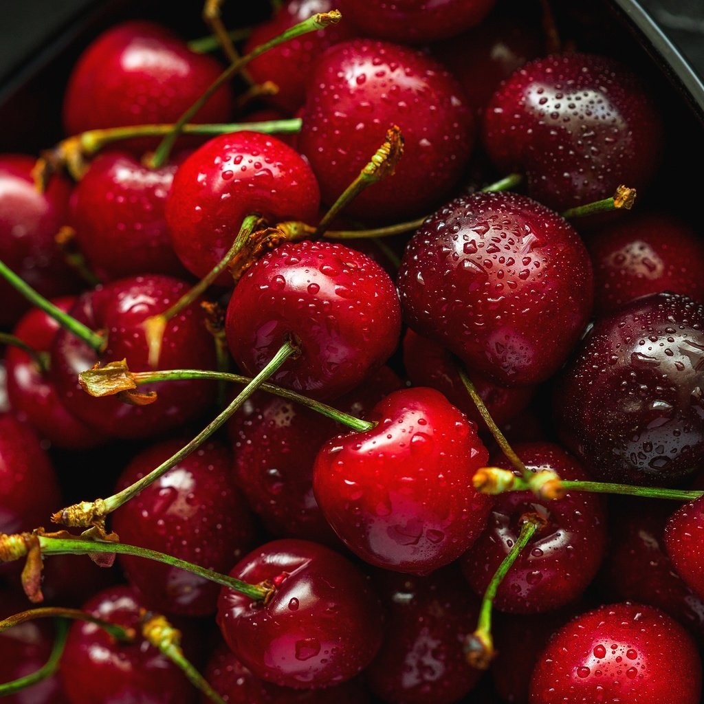 Обои фон, капли, черешня, ягоды, вишня, контейнер, background, drops, cherry, berries, container разрешение 3560x2003 Загрузить