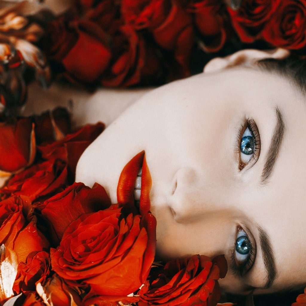 Обои цветы, голубоглазая, девушка, красные цветы, портрет, розы, взгляд, волосы, лицо, макияж, flowers, blue-eyed, girl, red flowers, portrait, roses, look, hair, face, makeup разрешение 2045x1848 Загрузить
