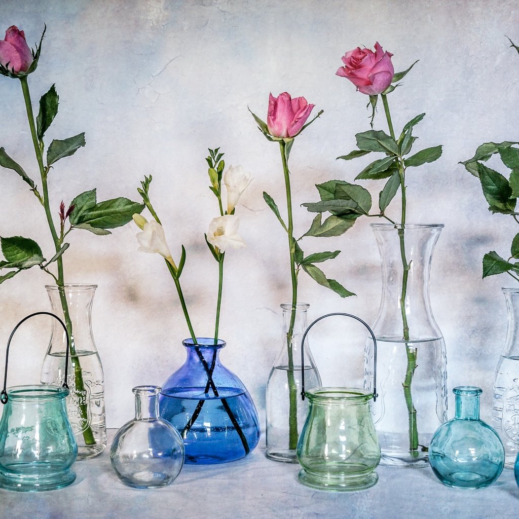 Обои цветы, розы, стекло, бутылки, натюрморт, банки, вазы, flowers, roses, glass, bottle, still life, banks, vases разрешение 2560x1761 Загрузить