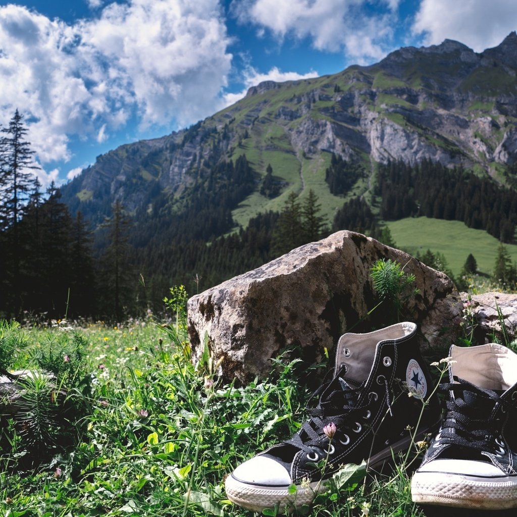 Обои небо, трава, облака, деревья, горы, кеды, камень, the sky, grass, clouds, trees, mountains, sneakers, stone разрешение 2048x1298 Загрузить