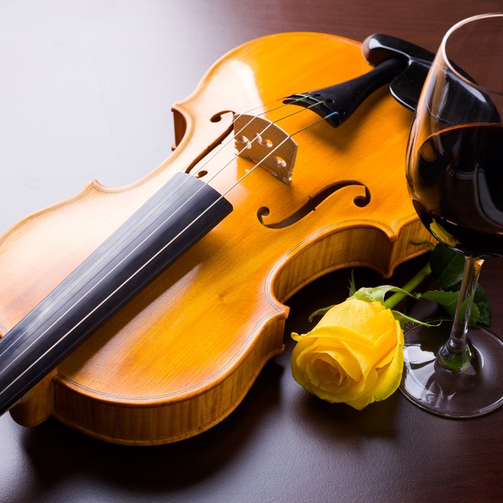 Обои цветок, скрипка, роза, струны, бокал, вино, музыкальный инструмент, flower, violin, rose, strings, glass, wine, musical instrument разрешение 4800x3200 Загрузить