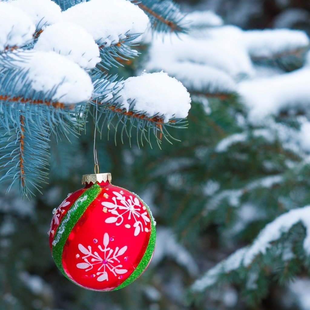 Обои снег, новый год, елка, хвоя, шар, рождество, елочная игрушка, snow, new year, tree, needles, ball, christmas, christmas toy разрешение 1920x1200 Загрузить