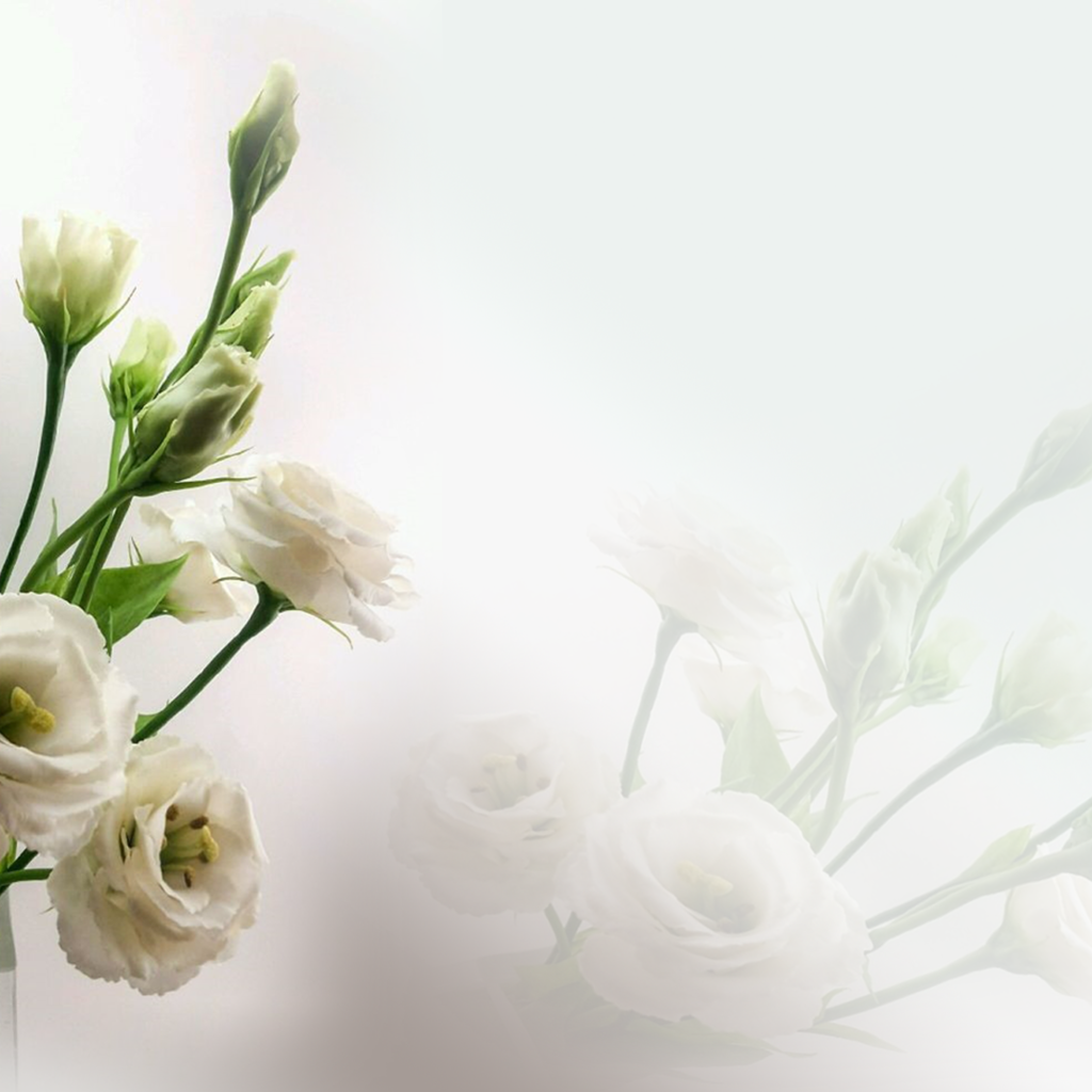 Обои цветы, бутоны, розы, букет, ваза, эустома, flowers, buds, roses, bouquet, vase, eustoma разрешение 1920x1200 Загрузить