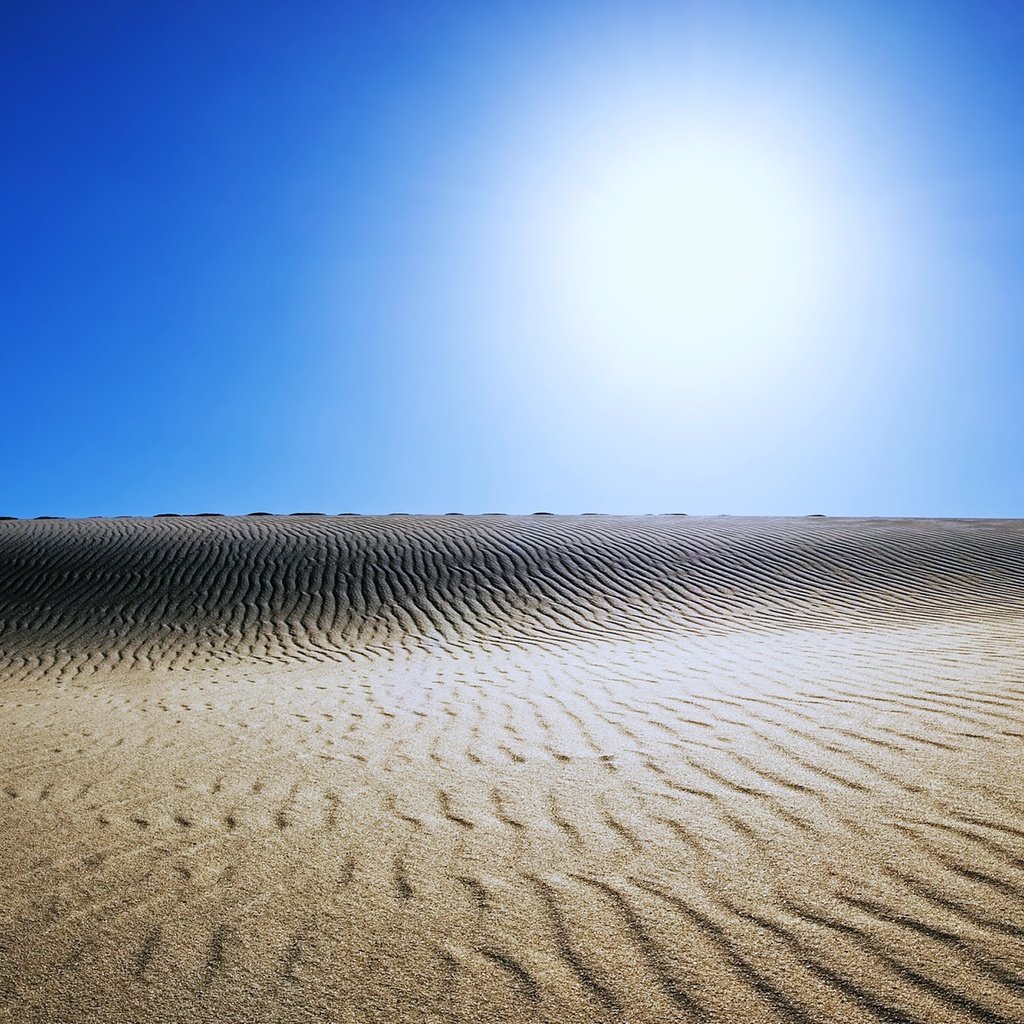 Обои солнце, природа, пейзаж, песок, пустыня, египет, the sun, nature, landscape, sand, desert, egypt разрешение 5840x3651 Загрузить