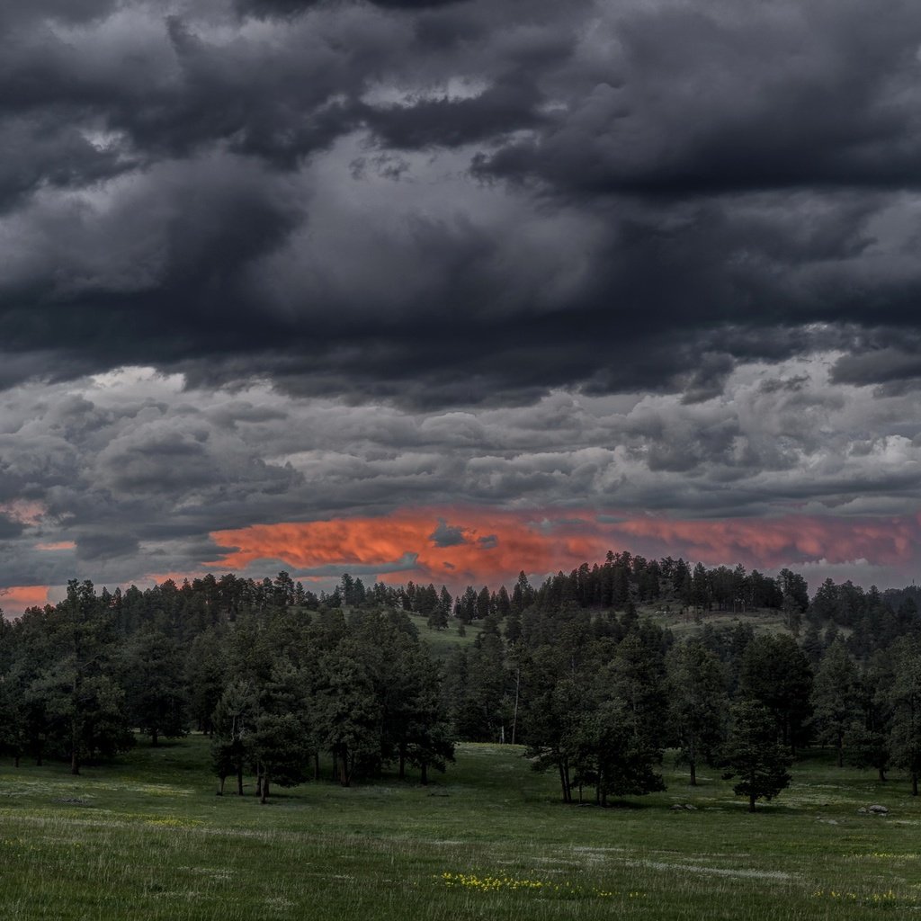 Обои облака, вечер, природа, лес, закат, clouds, the evening, nature, forest, sunset разрешение 2048x1365 Загрузить