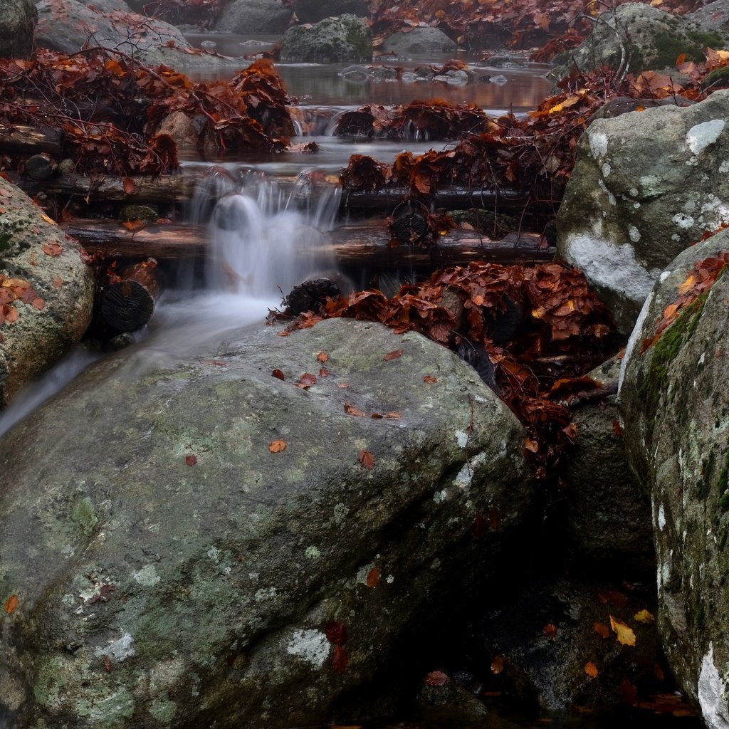 Обои река, природа, камни, водопад, осень, поток, каскад, river, nature, stones, waterfall, autumn, stream, cascade разрешение 3840x2160 Загрузить