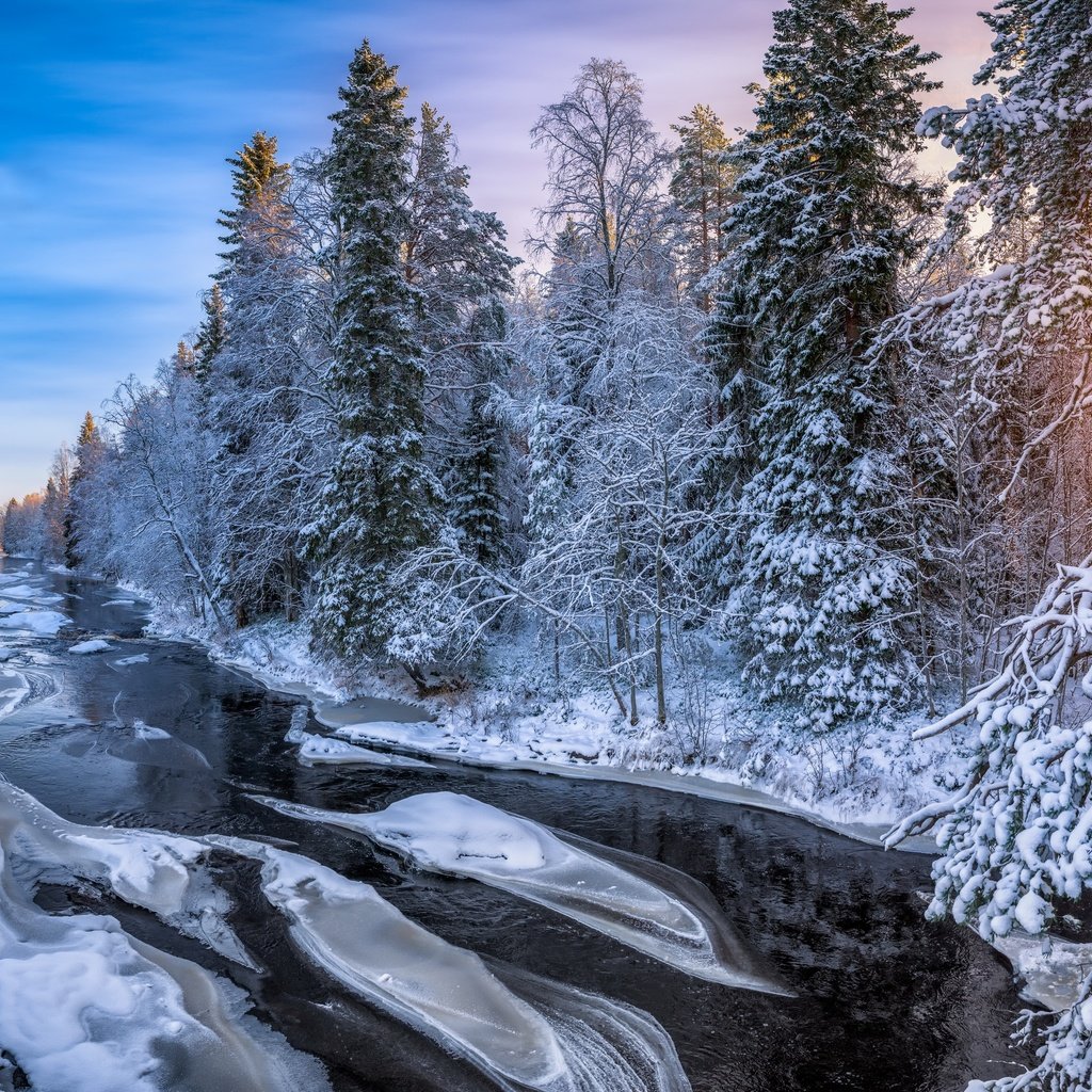 Обои река, лес, зима, утро, river, forest, winter, morning разрешение 3840x2160 Загрузить