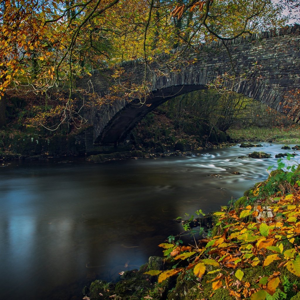 Обои река, листья, ветки, мост, осень, англия, lake district, камбрия, river, leaves, branches, bridge, autumn, england, cumbria разрешение 2048x1148 Загрузить