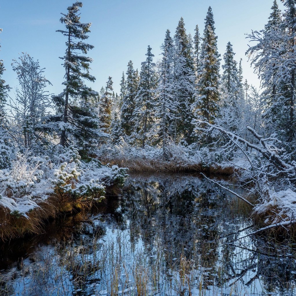 Обои река, снег, лес, осень, river, snow, forest, autumn разрешение 3840x2160 Загрузить