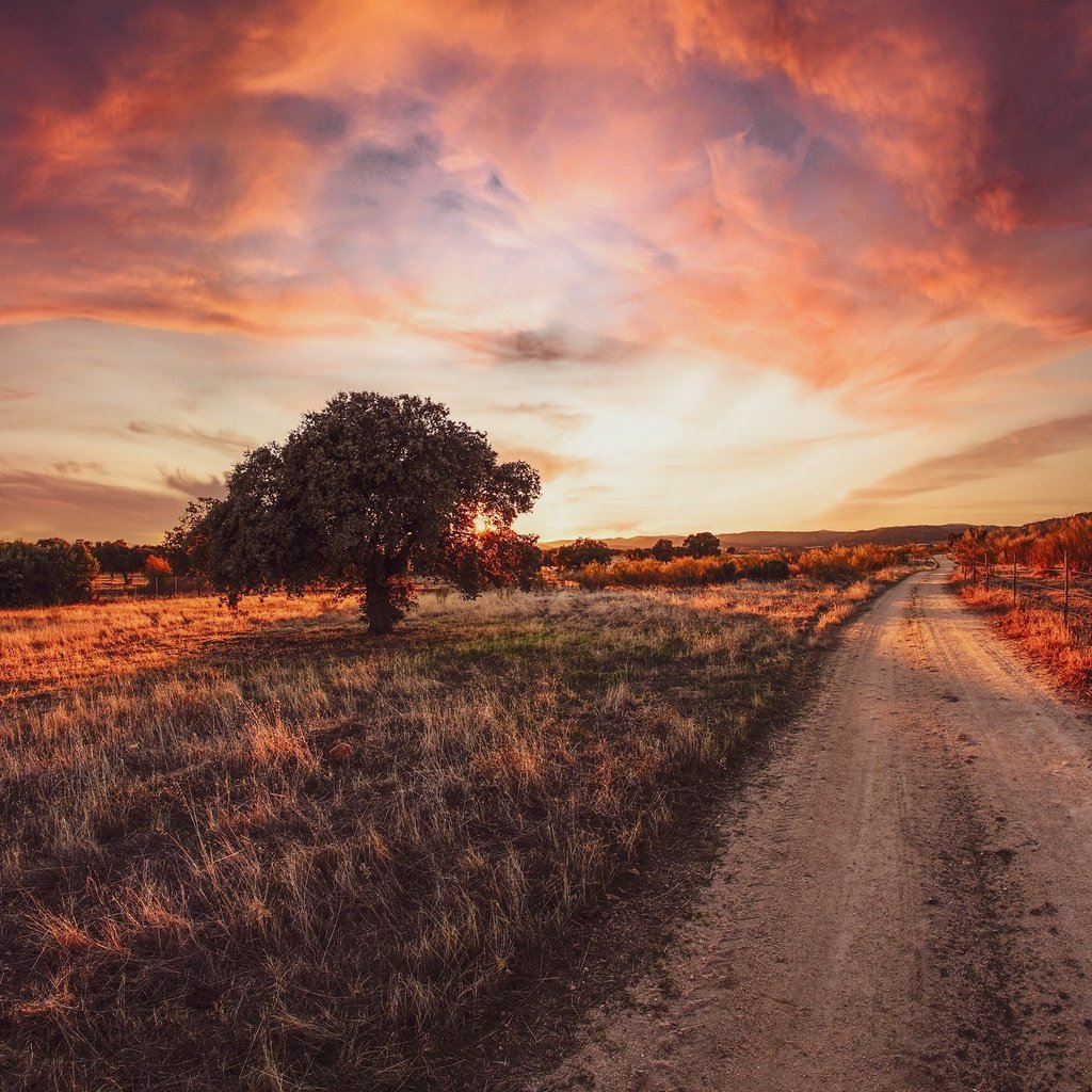 Обои дорога, дерево, закат, road, tree, sunset разрешение 2048x1365 Загрузить