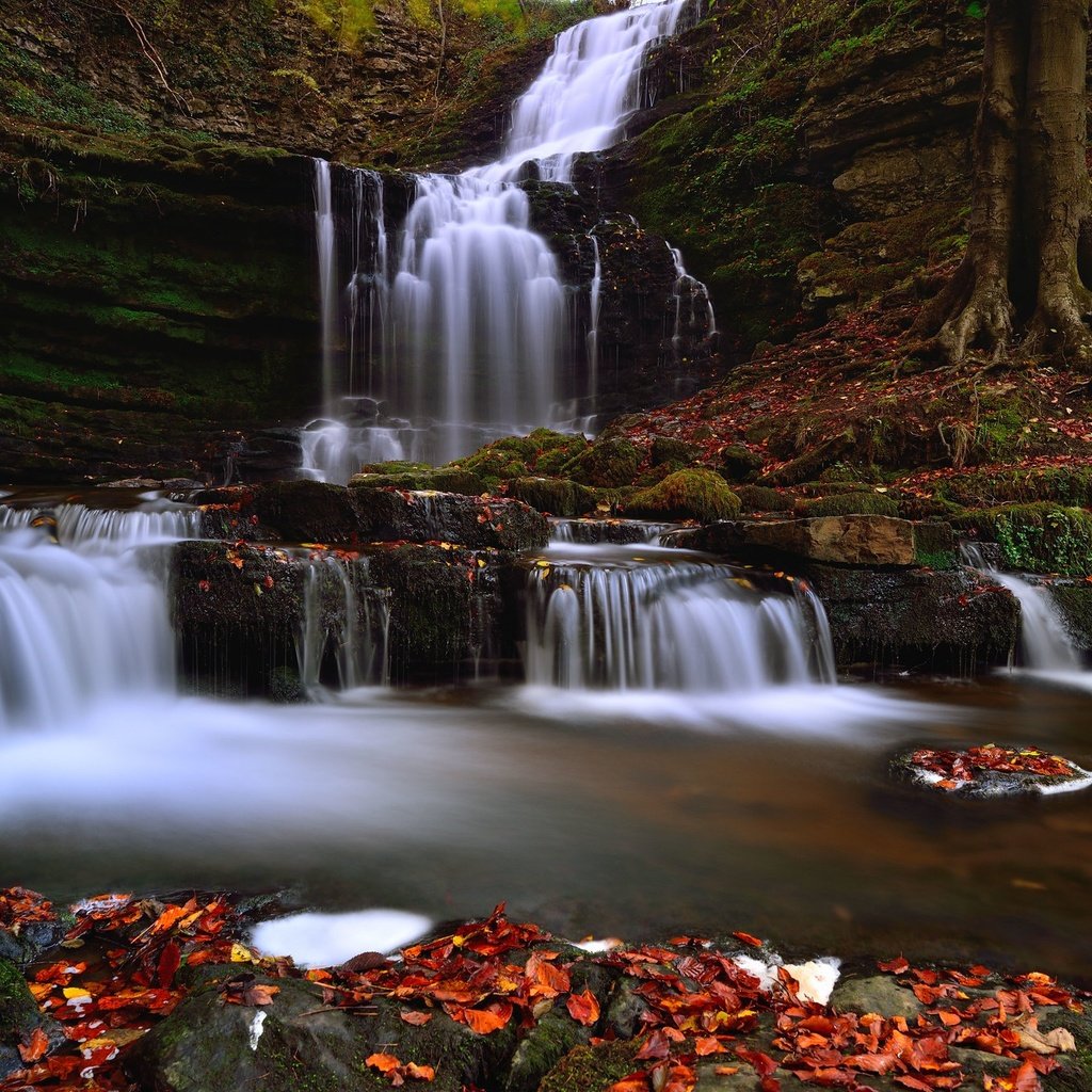 Обои листья, водопад, leaves, waterfall разрешение 2048x1367 Загрузить