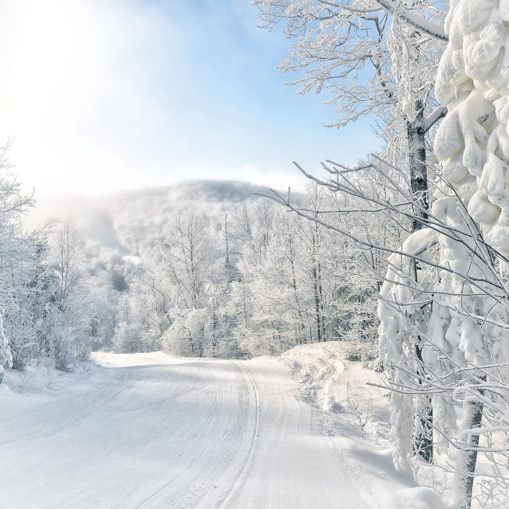 Обои небо, дорога, природа, лес, зима, ветки, иней, the sky, road, nature, forest, winter, branches, frost разрешение 2048x1356 Загрузить