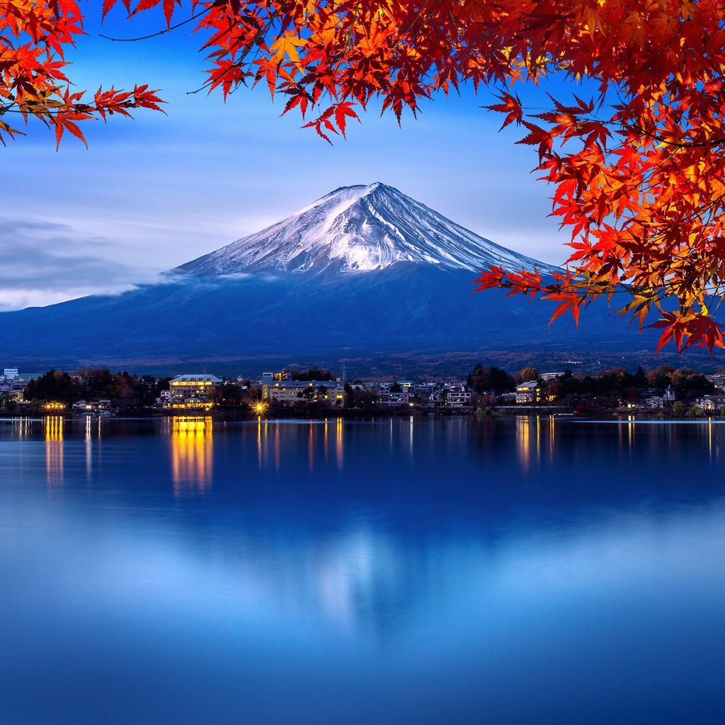 Обои деревья, листья, парк, осень, япония, trees, leaves, park, autumn, japan разрешение 4928x2772 Загрузить