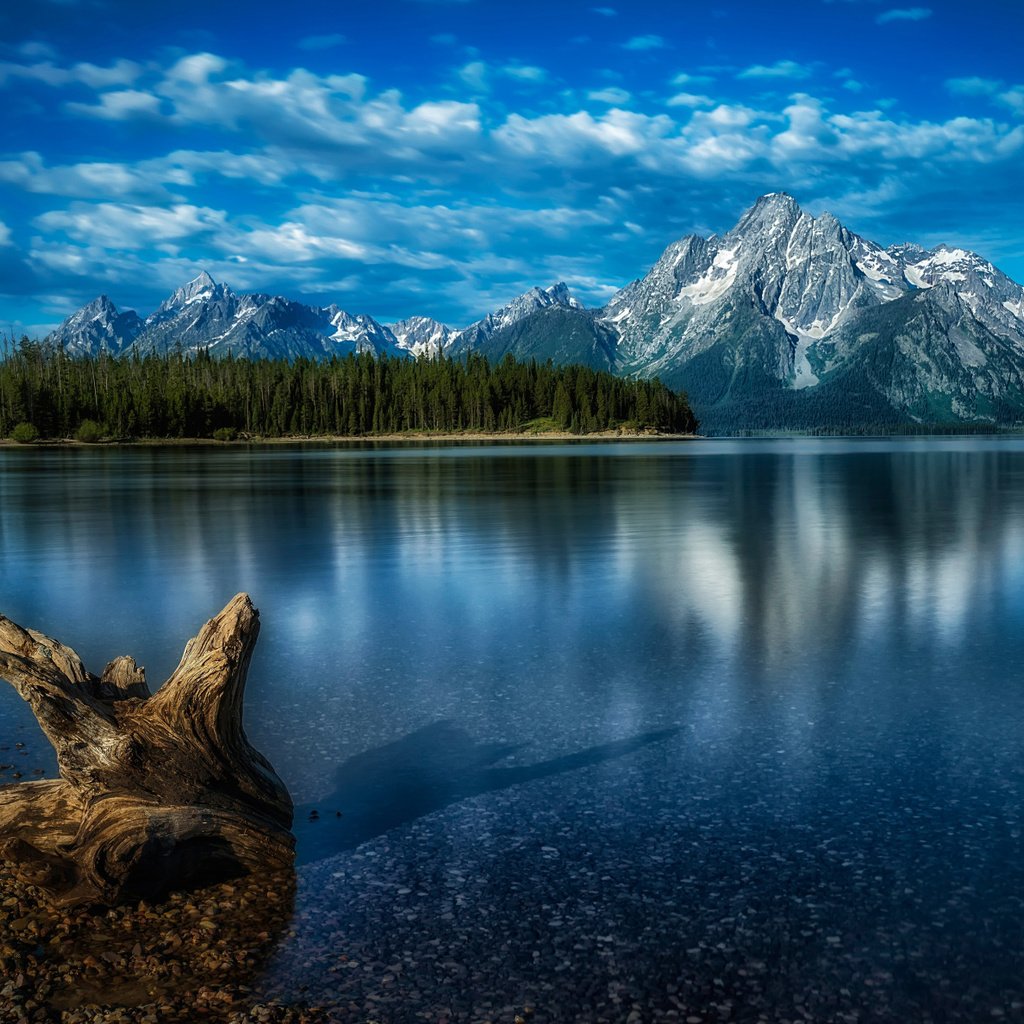 Обои озеро, национальный парк гранд-титон, горы, jackson lake, лес, коряга, скалистые горы, вайоминг, озеро джексон, гранд -титон национальный парк, lake, national park grand teton, mountains, forest, snag, rocky mountains, wyoming, lake jackson, grand teton national park разрешение 2112x1188 Загрузить