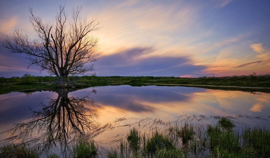 Обои небо, озеро, дерево, берег, закат, пейзаж, природ, the sky, lake, tree, shore, sunset, landscape, natures разрешение 2560x1577 Загрузить