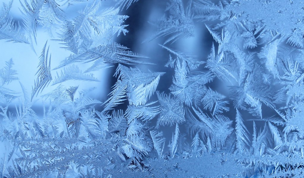 Обои зима, иней, окно, морозно, замерзла, winter, frost, window, frosty, frozen разрешение 2560x1600 Загрузить