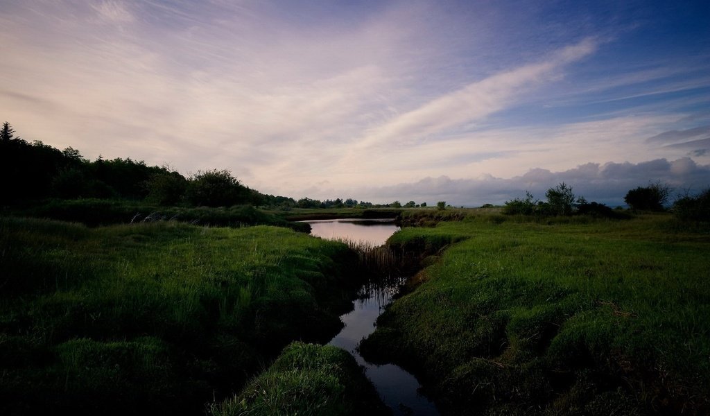 Обои трава, облака, ручей, grass, clouds, stream разрешение 1920x1200 Загрузить