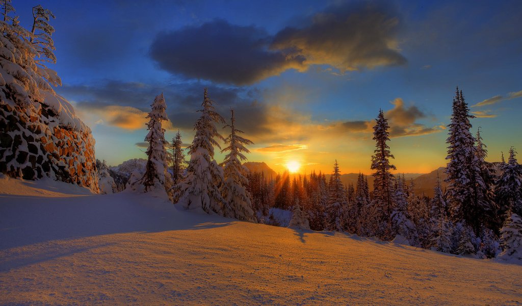 Обои елки, небо, облака, снег, природа, лес, закат, зима, красота, tree, the sky, clouds, snow, nature, forest, sunset, winter, beauty разрешение 1920x1080 Загрузить