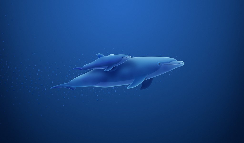 Обои синий, пузыри, дельфин, blue, bubbles, dolphin разрешение 2560x1600 Загрузить