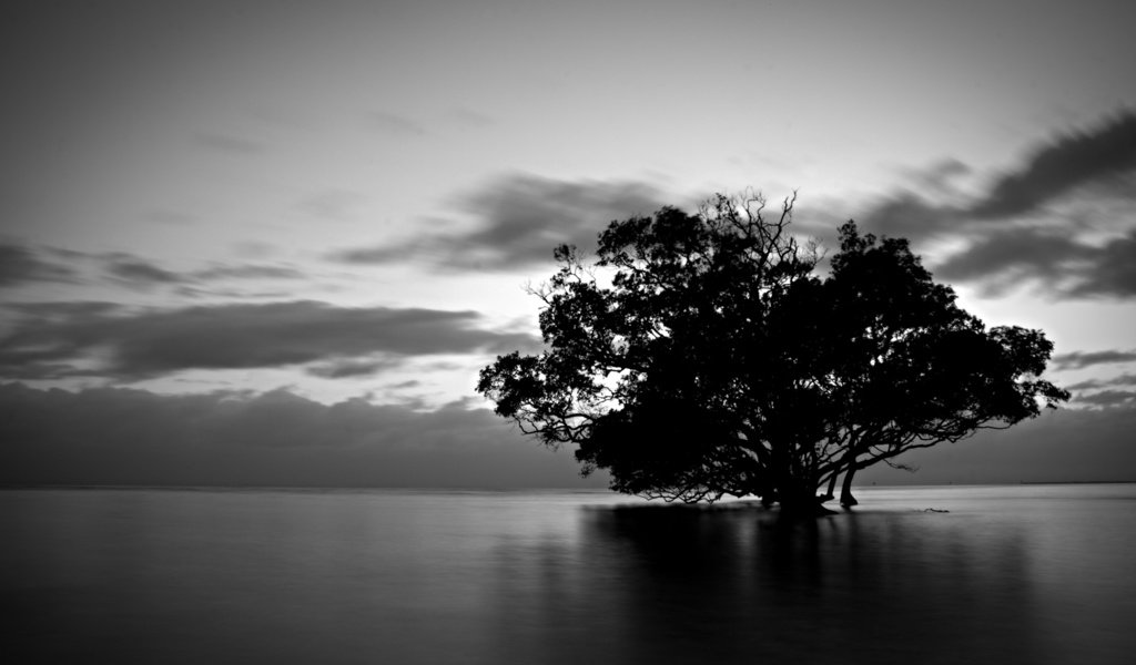 Обои вода, природа, дерево, тучи, чёрно-белое, water, nature, tree, clouds, black and white разрешение 1920x1080 Загрузить