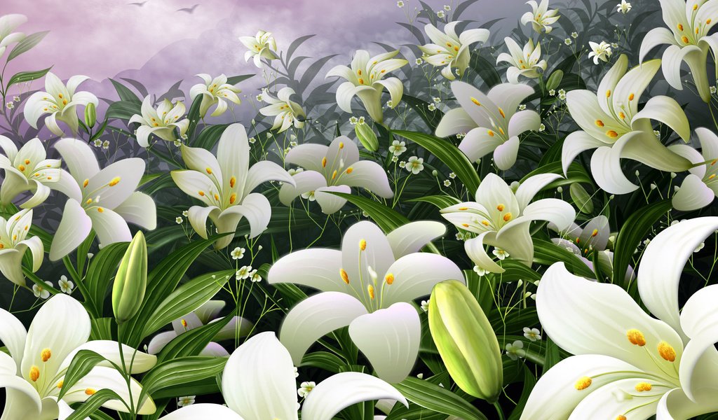 Обои цветы, сад, лилии, почки, flowers, garden, lily, kidney разрешение 1920x1200 Загрузить