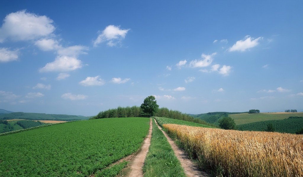 Обои небо, дорога, облака, деревья, холмы, поле, the sky, road, clouds, trees, hills, field разрешение 1920x1440 Загрузить