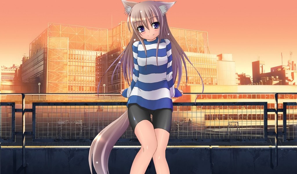 Обои город, ножки, ушки, лисичка, хвостик, the city, legs, ears, fox, ponytail разрешение 2000x1423 Загрузить