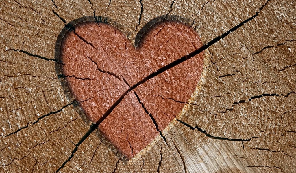 Обои дерево, сердце, трещины, tree, heart, cracked разрешение 1920x1200 Загрузить