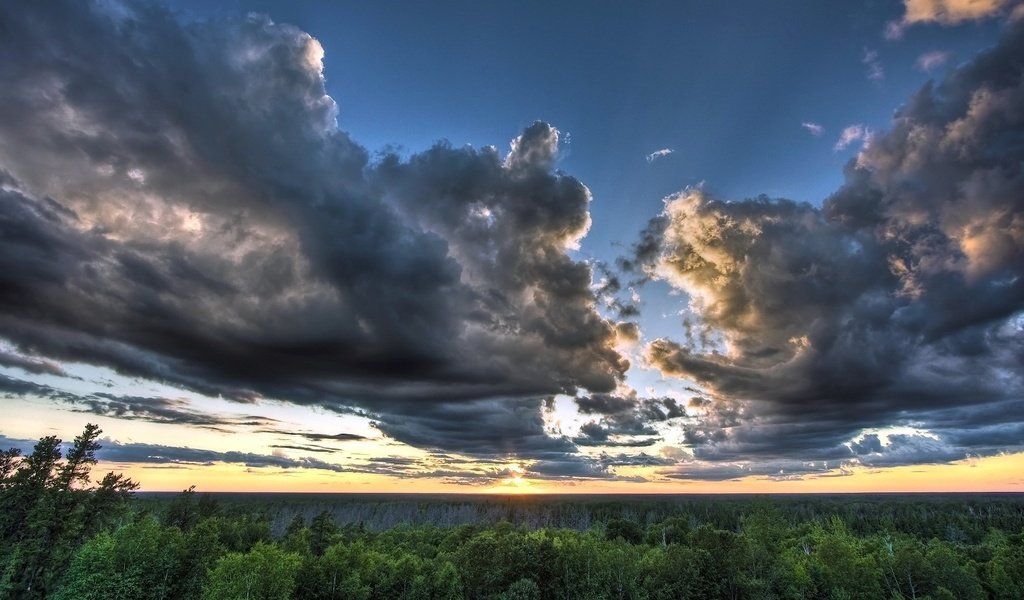 Обои небо, облака, лес, the sky, clouds, forest разрешение 1920x1200 Загрузить