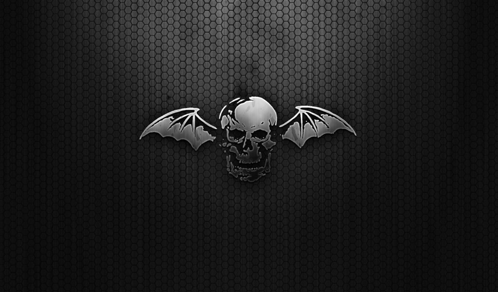 Обои крылья, черный, сетка, череп, wings, black, mesh, skull разрешение 2560x1600 Загрузить