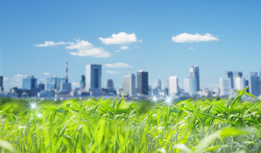 Обои трава, город, небоскребы, grass, the city, skyscrapers разрешение 1920x1200 Загрузить