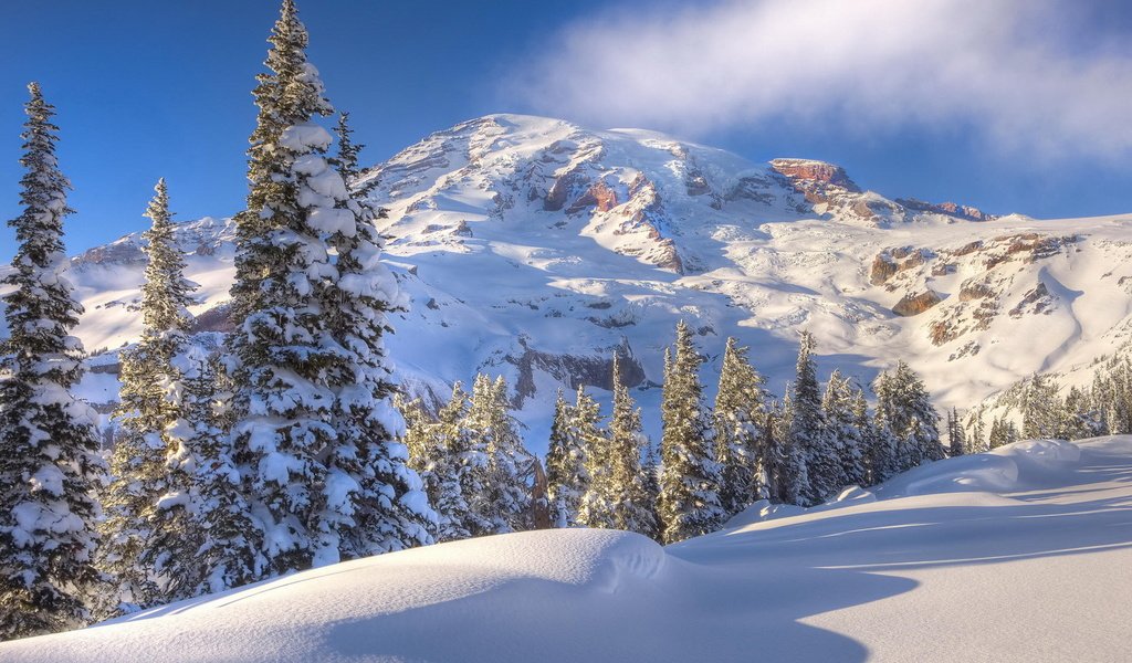 Обои деревья, горы, снег, зима, trees, mountains, snow, winter разрешение 1920x1080 Загрузить