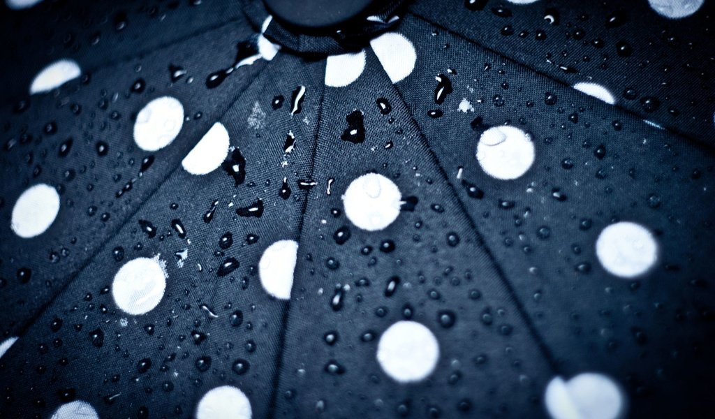 Обои капли, круги, зонт, зонтик, капли дождя, drops, circles, umbrella, raindrops разрешение 2560x1713 Загрузить